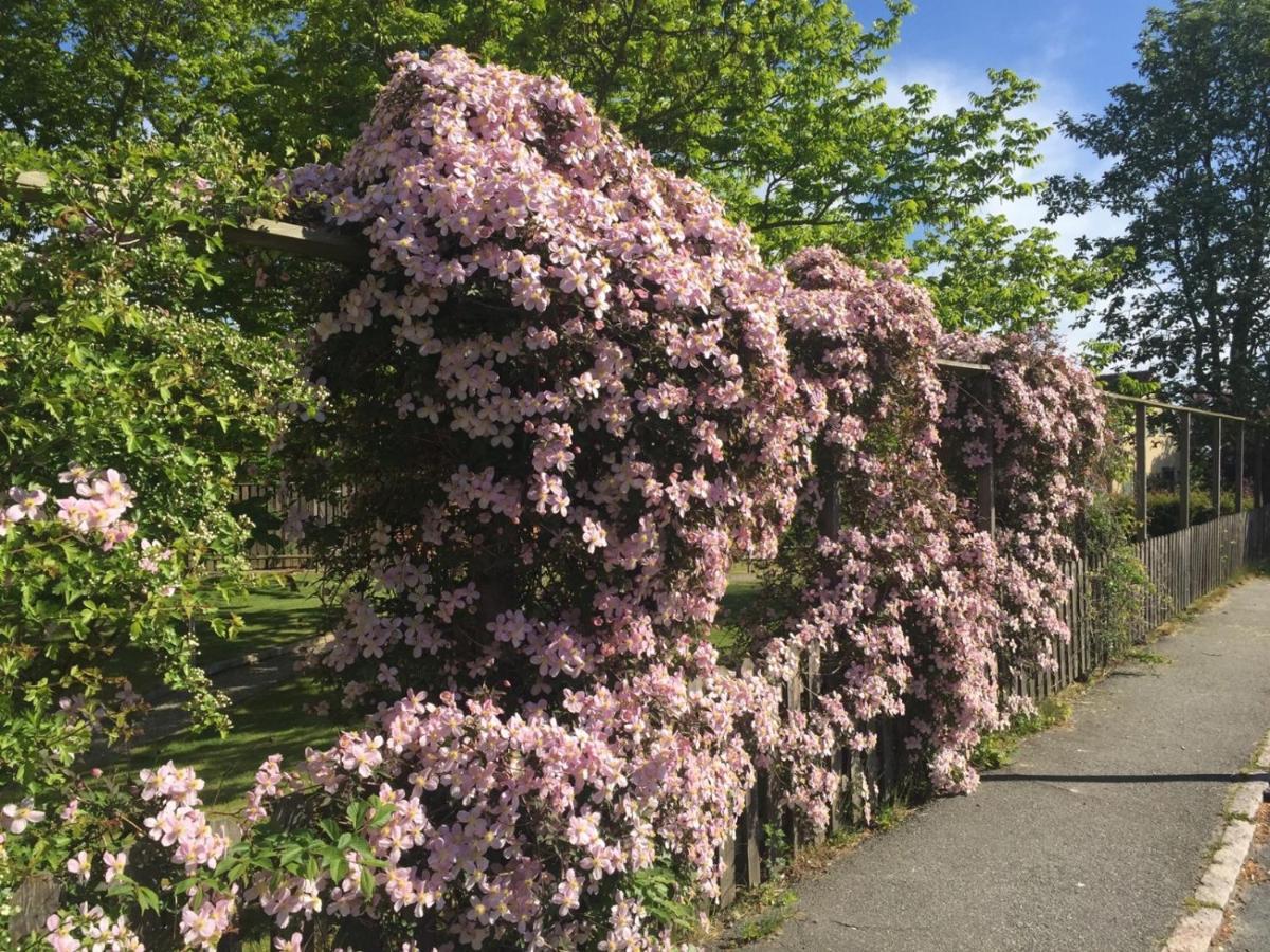 Aurora Bed & Breakfast Simrishamn Exterior foto