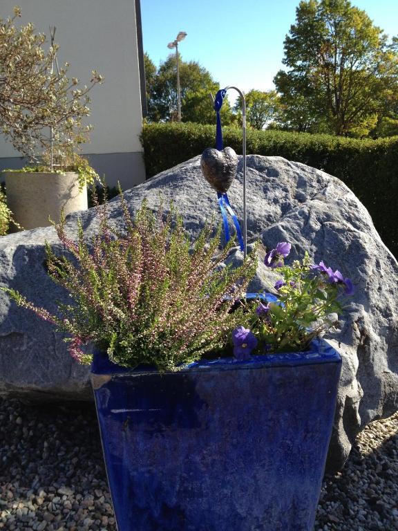 Aurora Bed & Breakfast Simrishamn Exterior foto