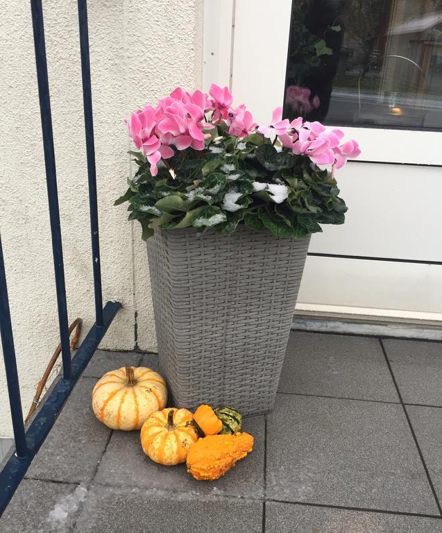 Aurora Bed & Breakfast Simrishamn Exterior foto